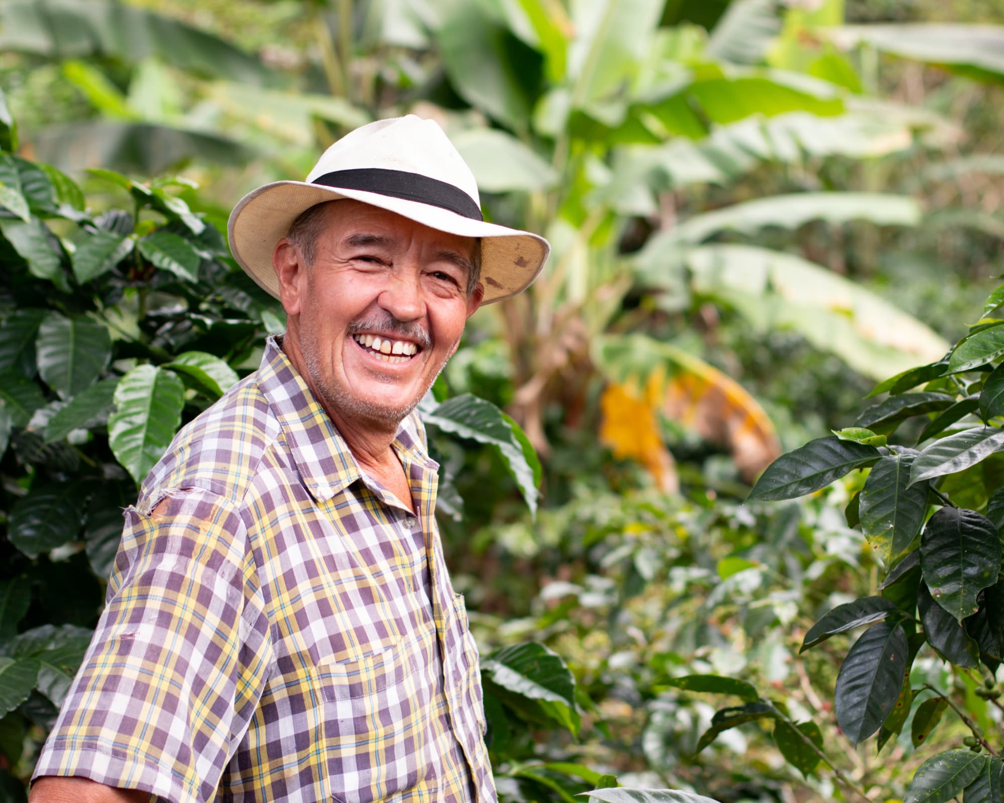 Adulto mayor haciendo terapia ocupacional