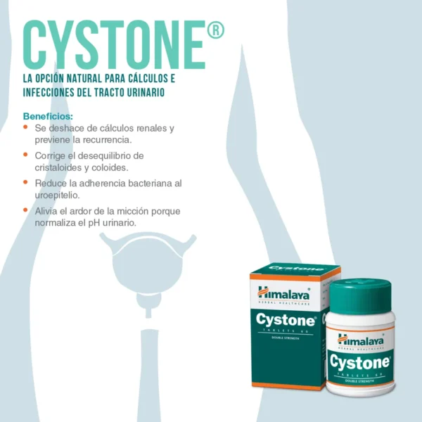 Cystone