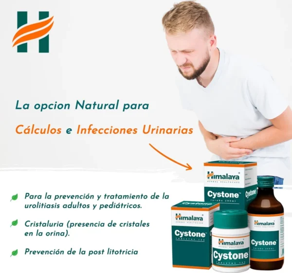 Cystone Himalaya Calculós Renales 2 Pack
